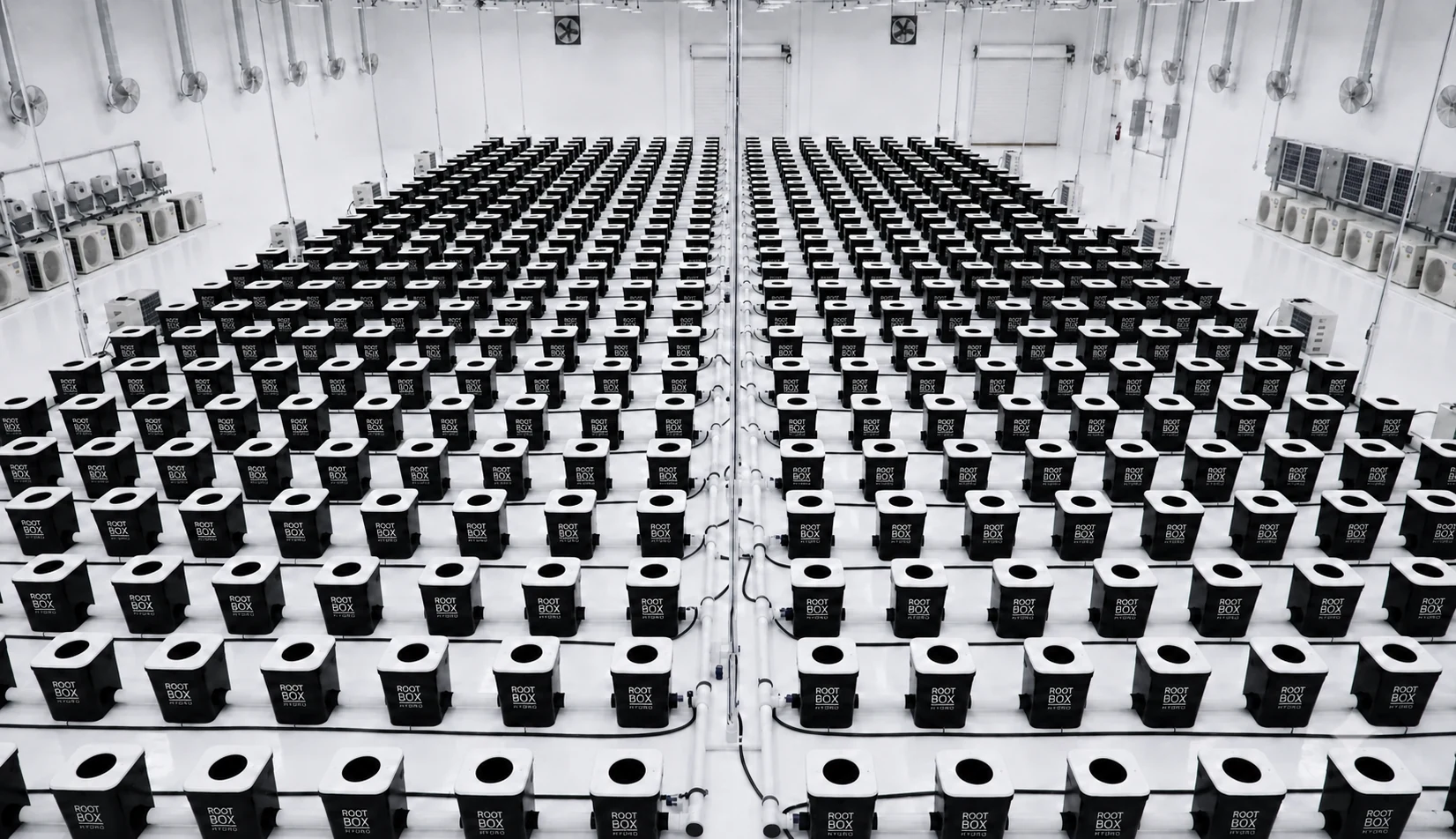A large commercial cultivation facility equipped with rows of RootBox Hydro growing modules.